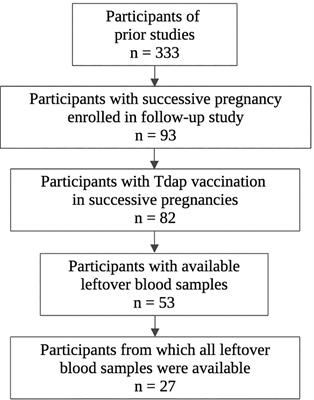 Immunogenicity at delivery after Tdap vaccination in successive pregnancies